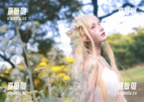 在下萝莉控ii 深呼吸……看完在下萝莉控ii的套图,我突然觉得这剧情未免也太复杂了吧!