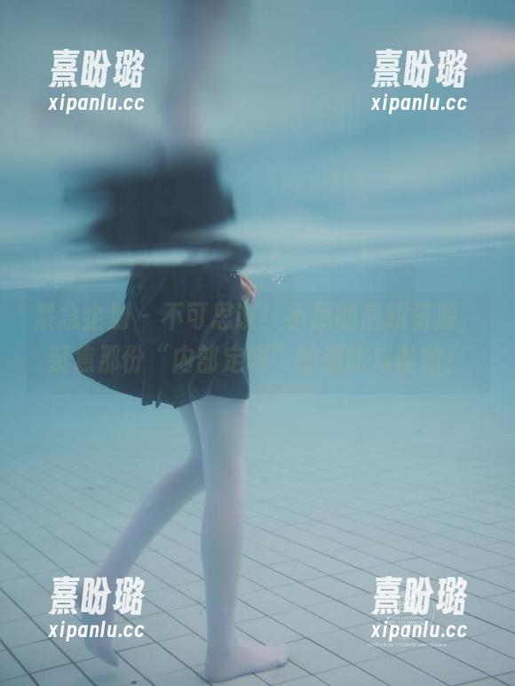 紧急企划-小恩 紧急企划 - 不可思议!小恩的最新资源,聚焦那份“内部定制”的逗比与哈哈!