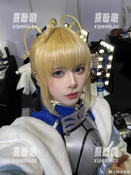 全集疯转，腥味猫罐和半妖庭师可别少了你我！